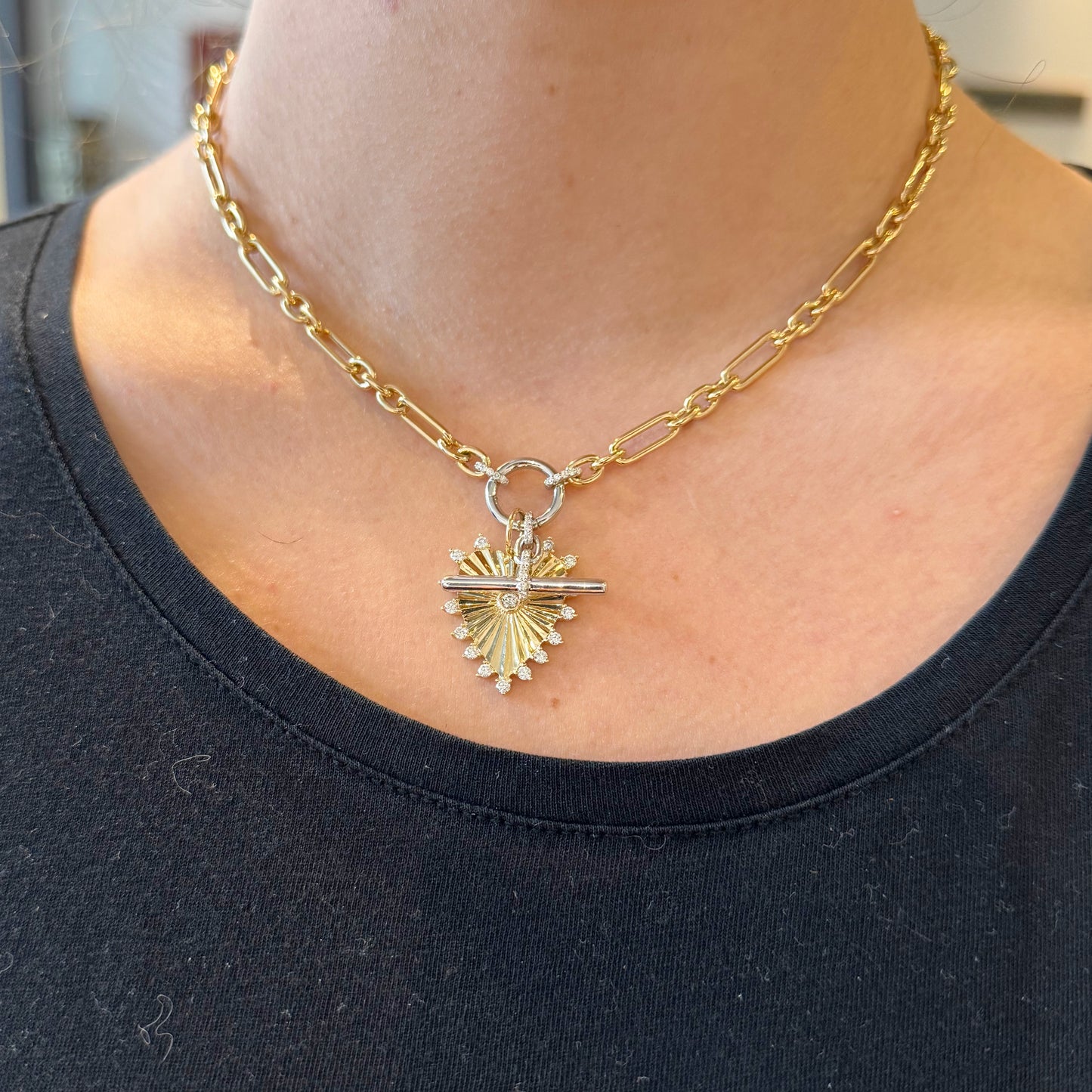 Mixed Link Necklace with Toggle Drop Charm