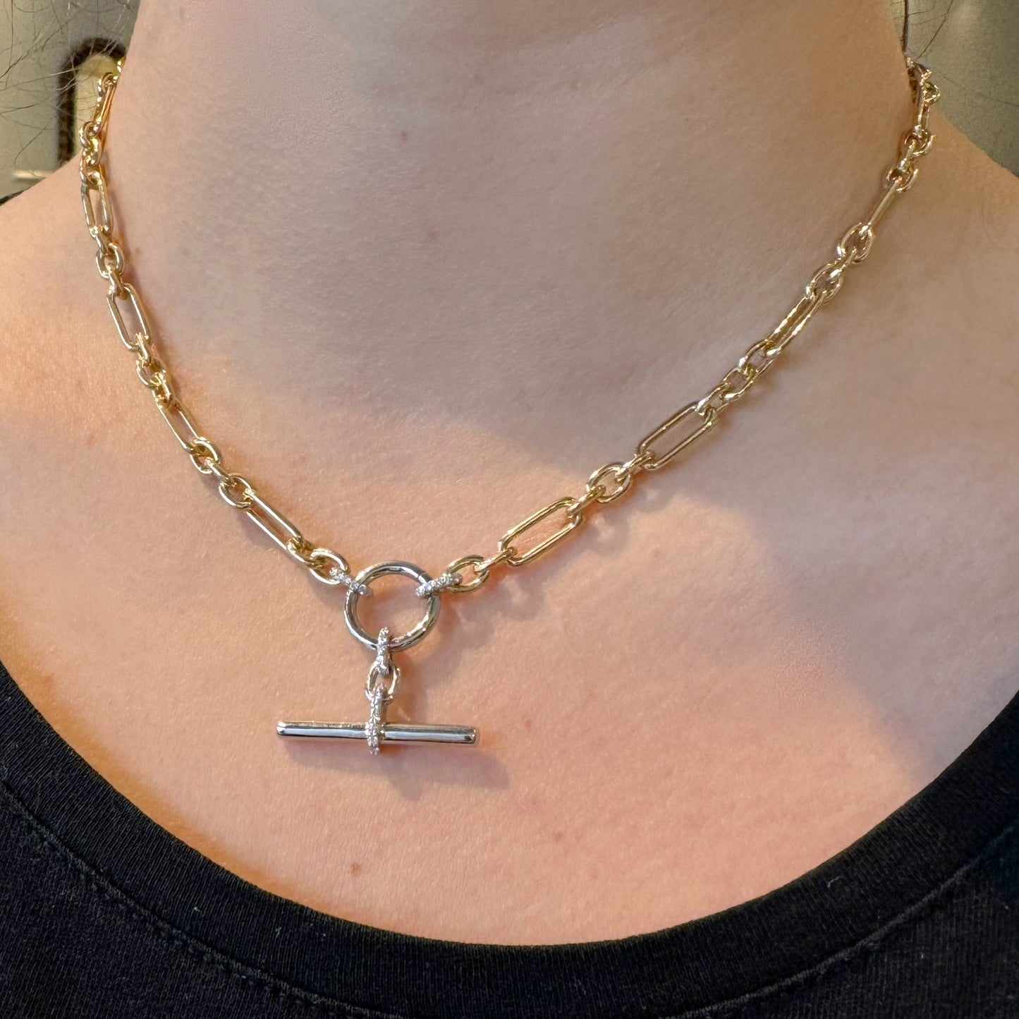 Mixed Link Necklace with Toggle Drop Charm