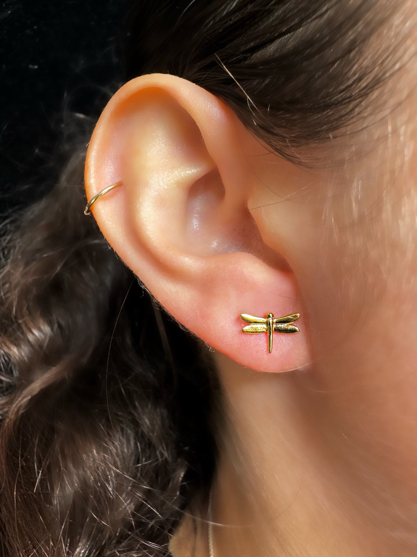 Dragonfly Studs
