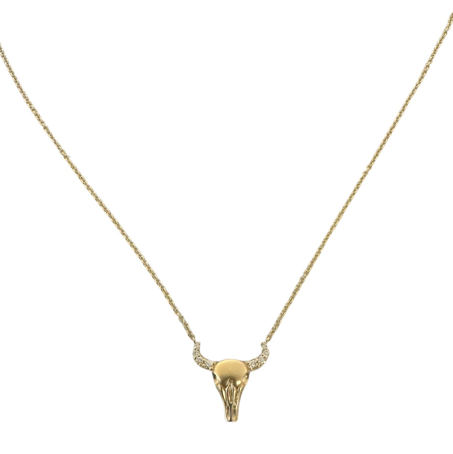 Longhorn Necklace