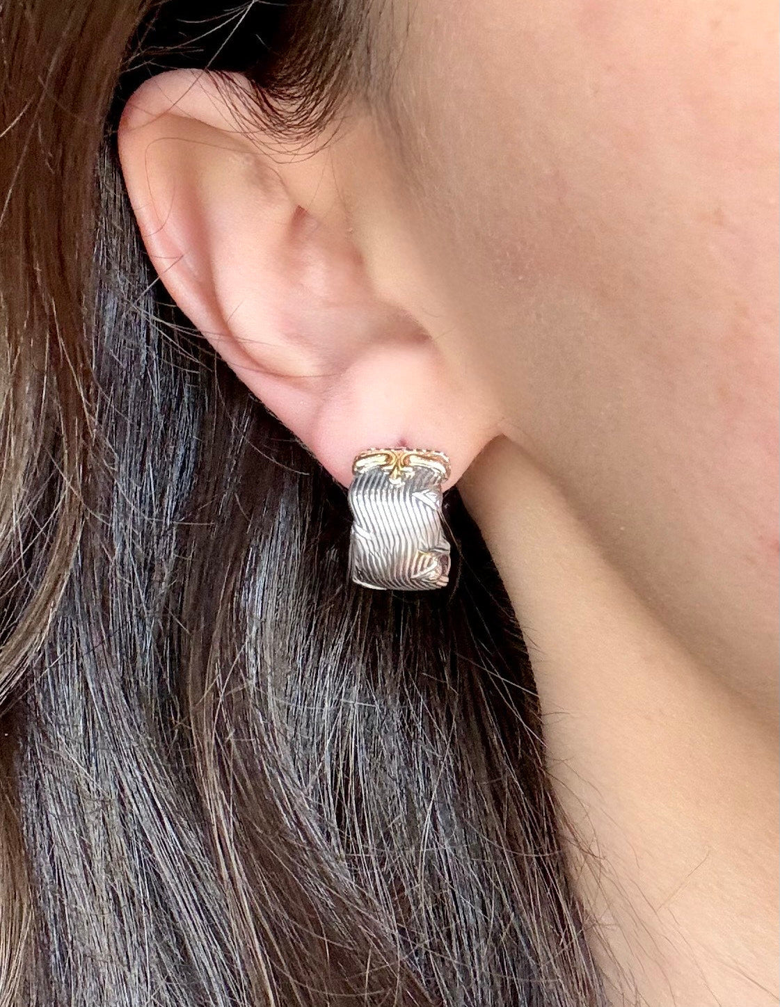 Mixed Metal Omega Back Earrings