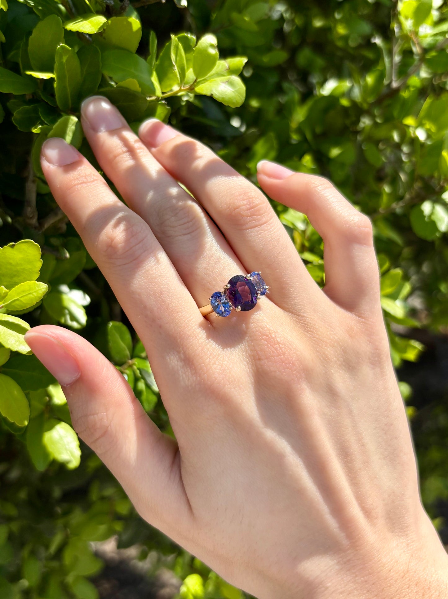 Amethyst & Tanzanite Ring