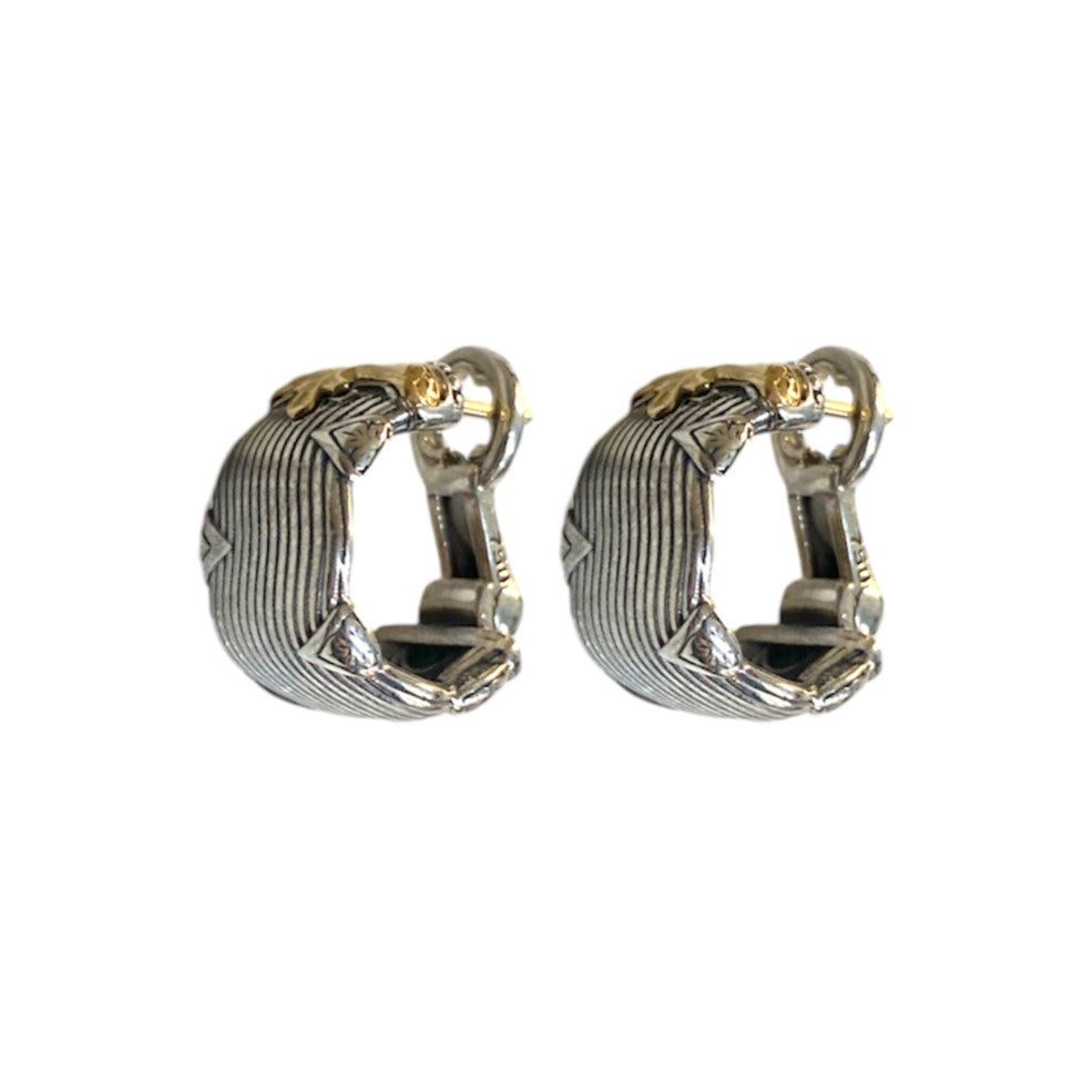 Mixed Metal Omega Back Earrings