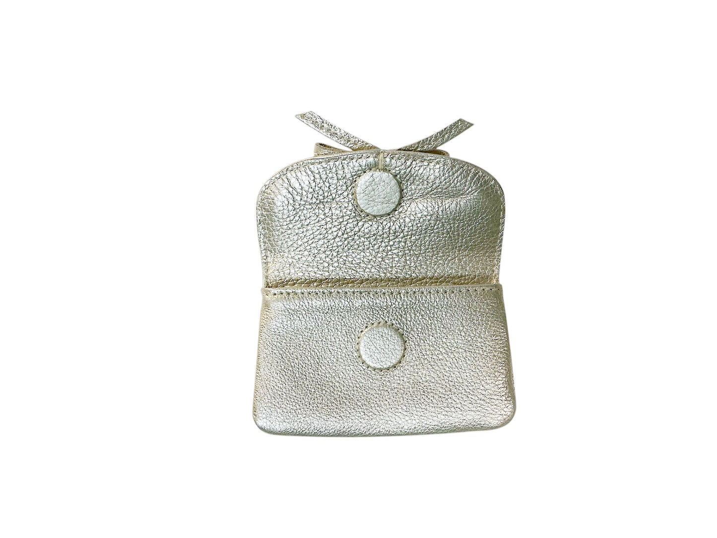 Champagne Metallic Petite Case with Bow