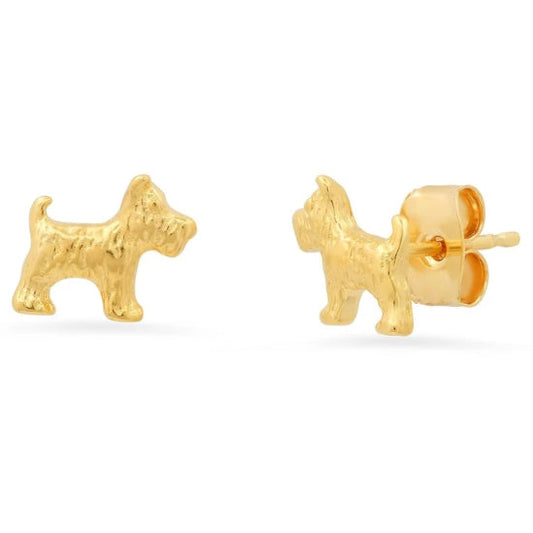 Westie Dog Studs