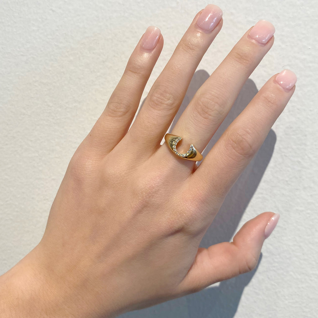 Diamond Horseshoe Signet Ring – Charde