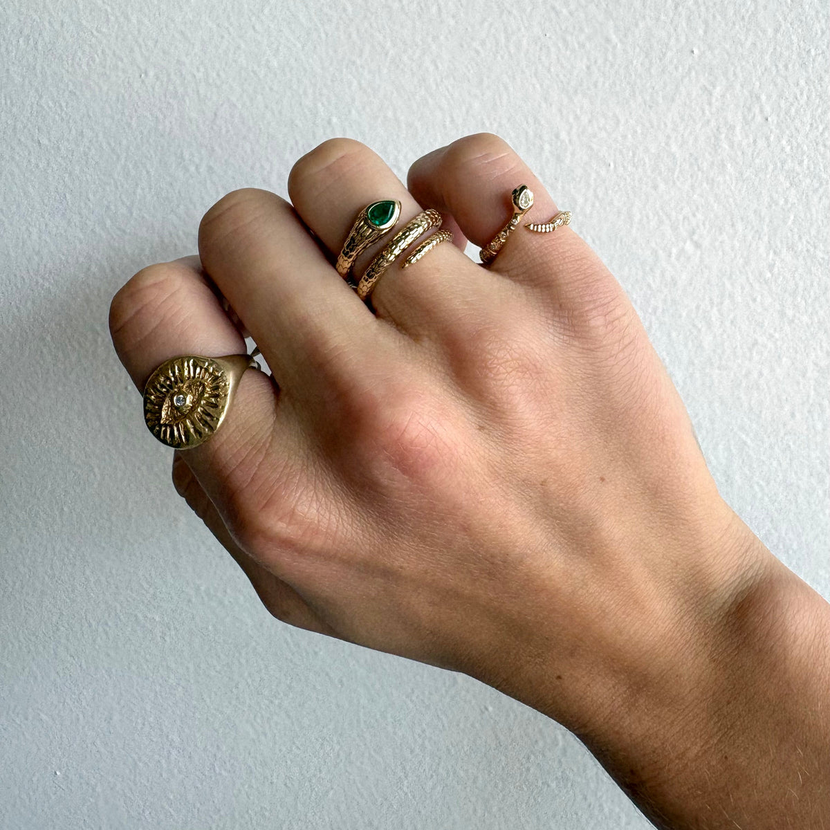 Tiny Rattlesnake Band