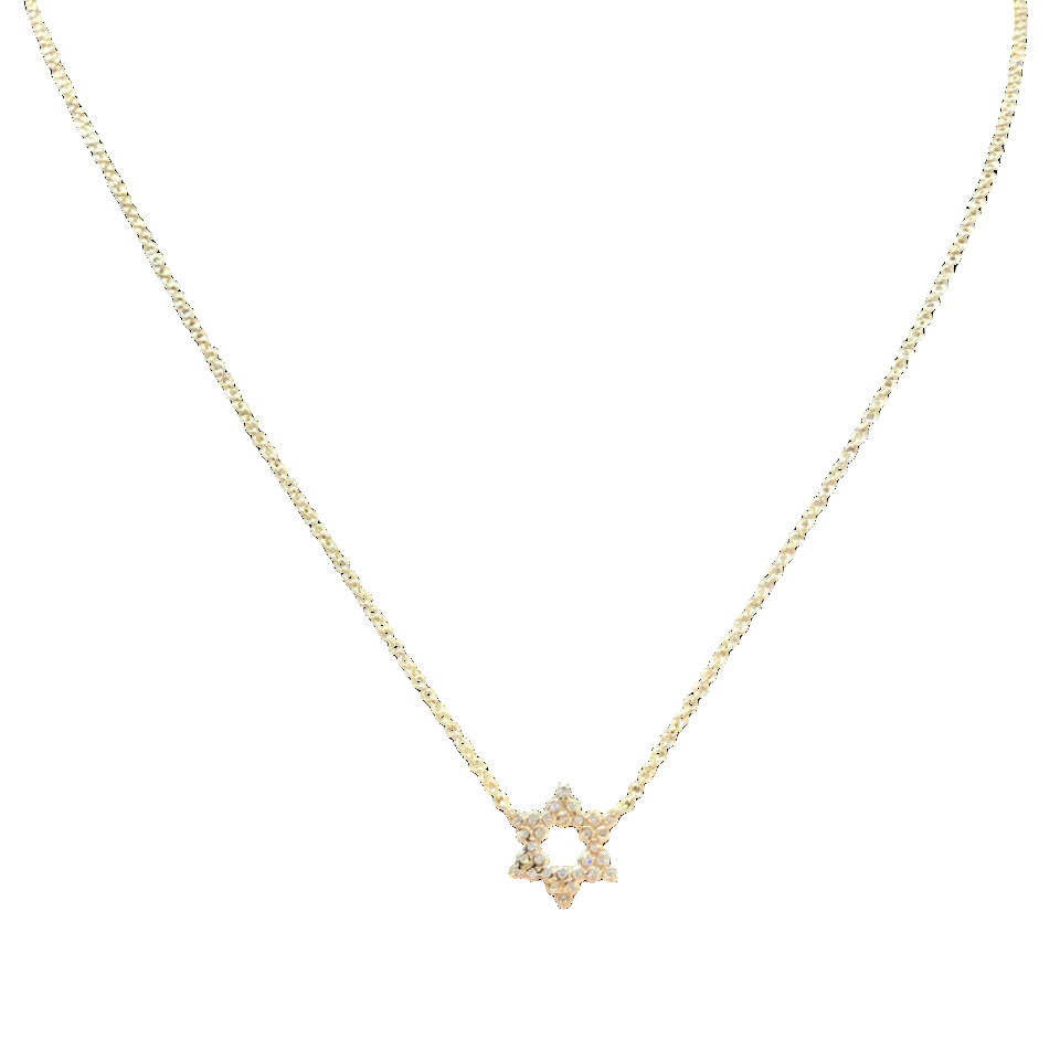 Pave Diamond Gold Star of David Necklace