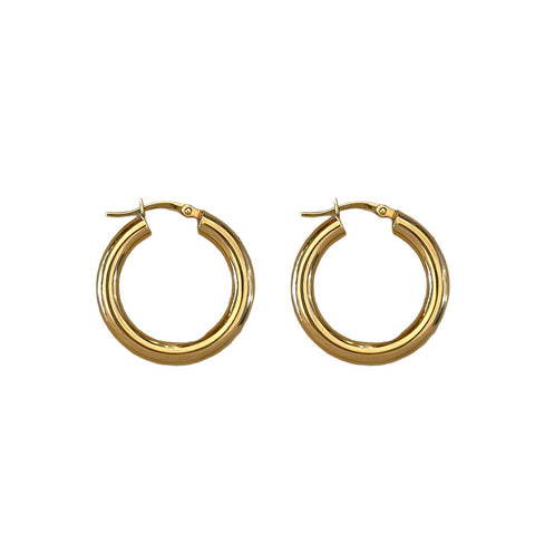 Small Chunky Hoops Earrings