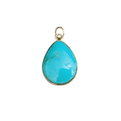 Campitos Turquoise Mixed Metal Pendant