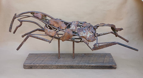 Bucephalus