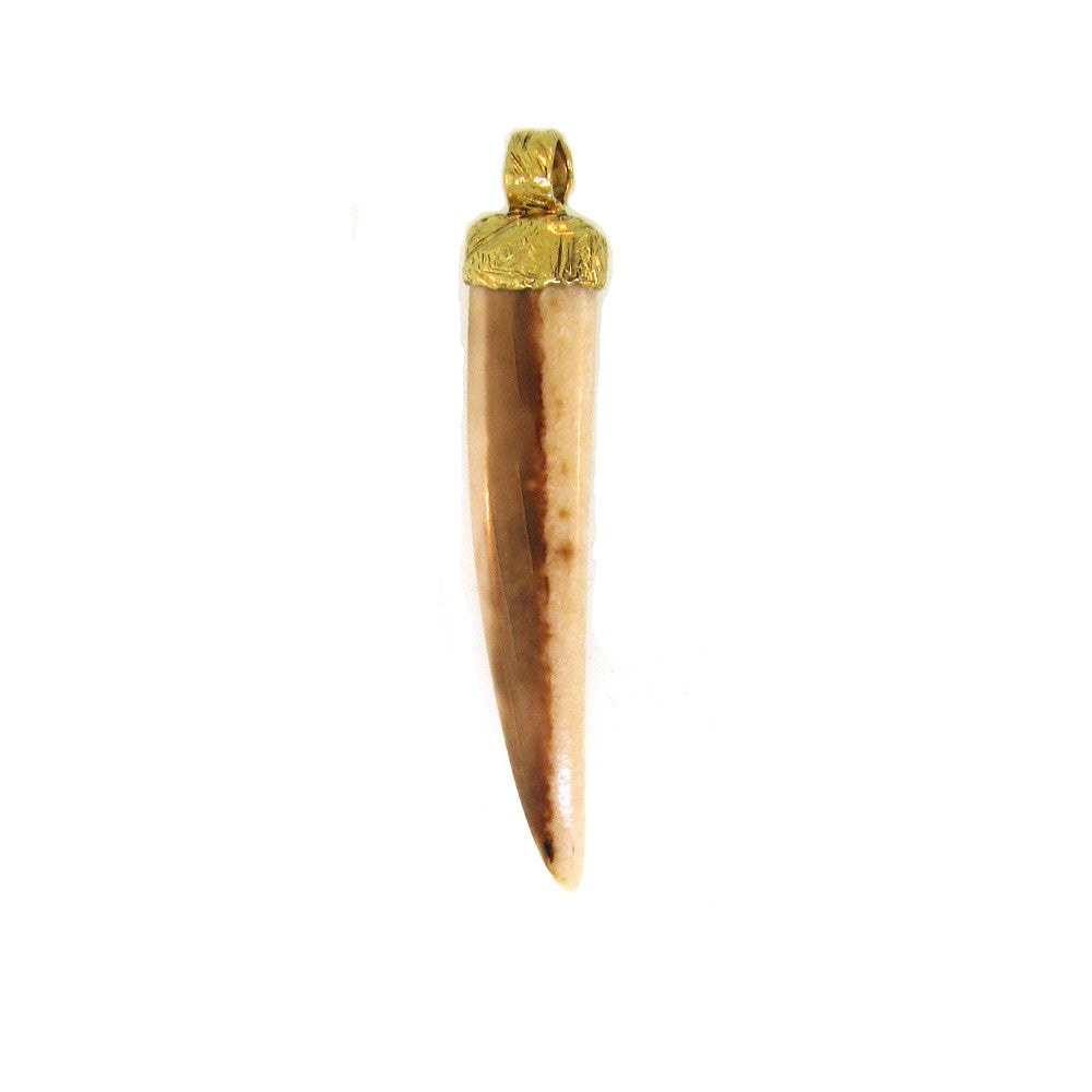 Fossilized Walrus Tusk Mother of Pearl Pendant w/14KT Gold Fill